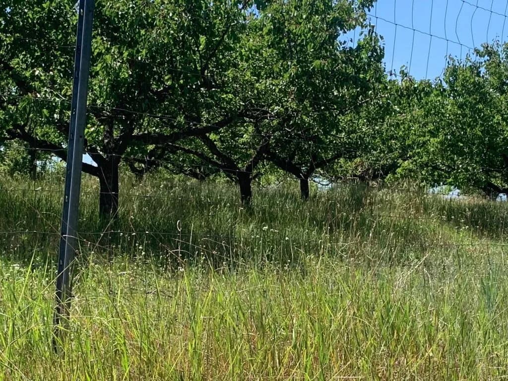 Immobilie kaufen in Gänserndorf – 30 000 m² – Bild 7 von 10