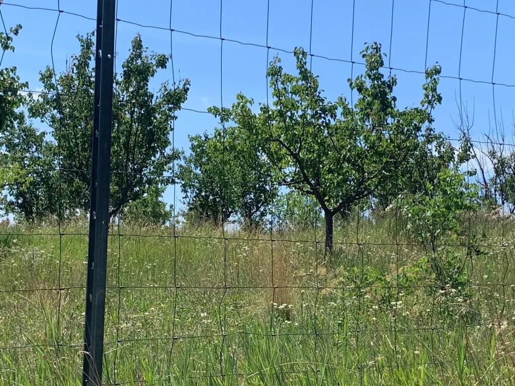 Immobilie kaufen in Gänserndorf – 30 000 m² – Bild 8 von 10