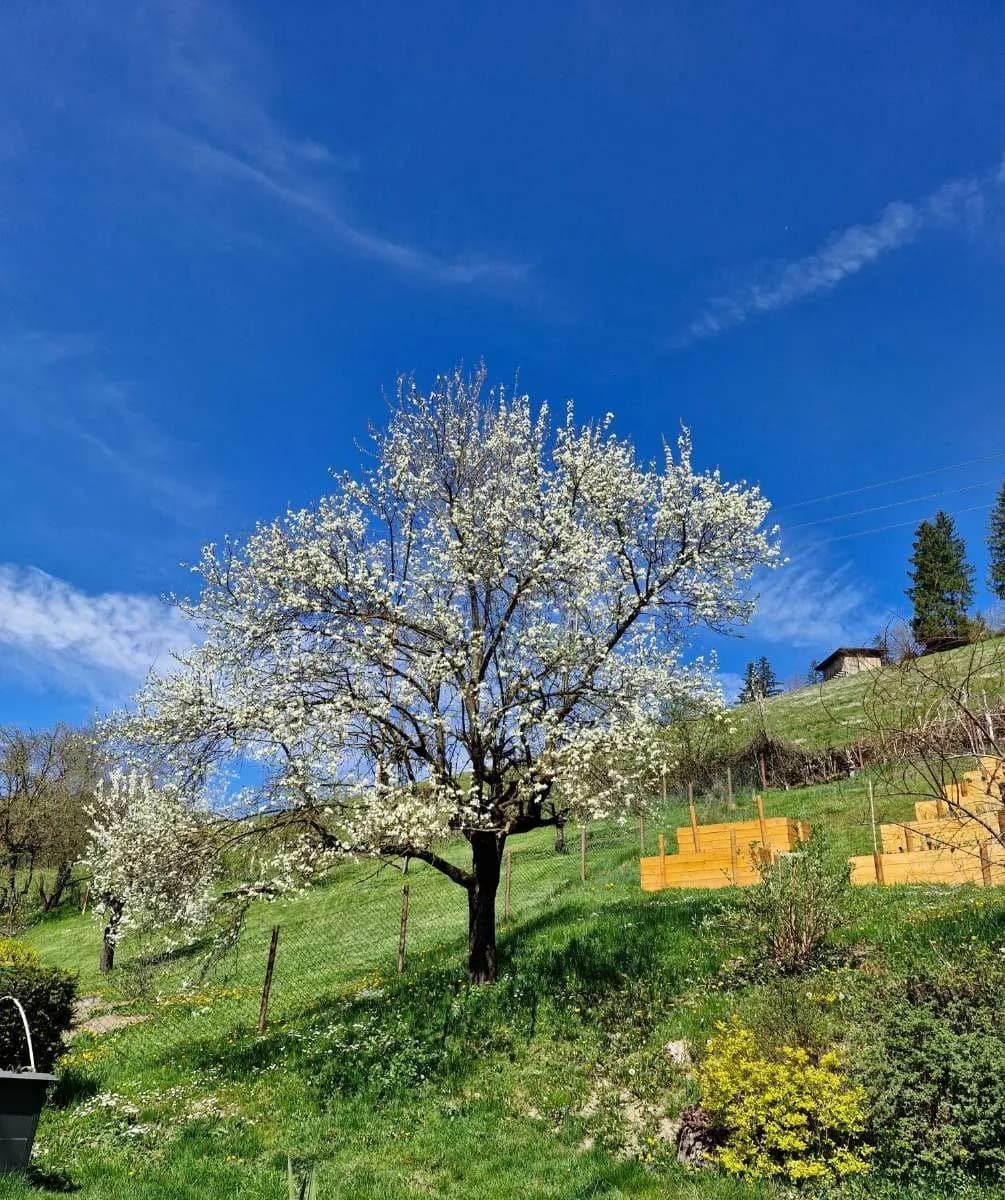 5-Zimmer-Haus kaufen in Bruck-Mürzzuschlag – 170 m², € 319.000 – Bild 20 von 26