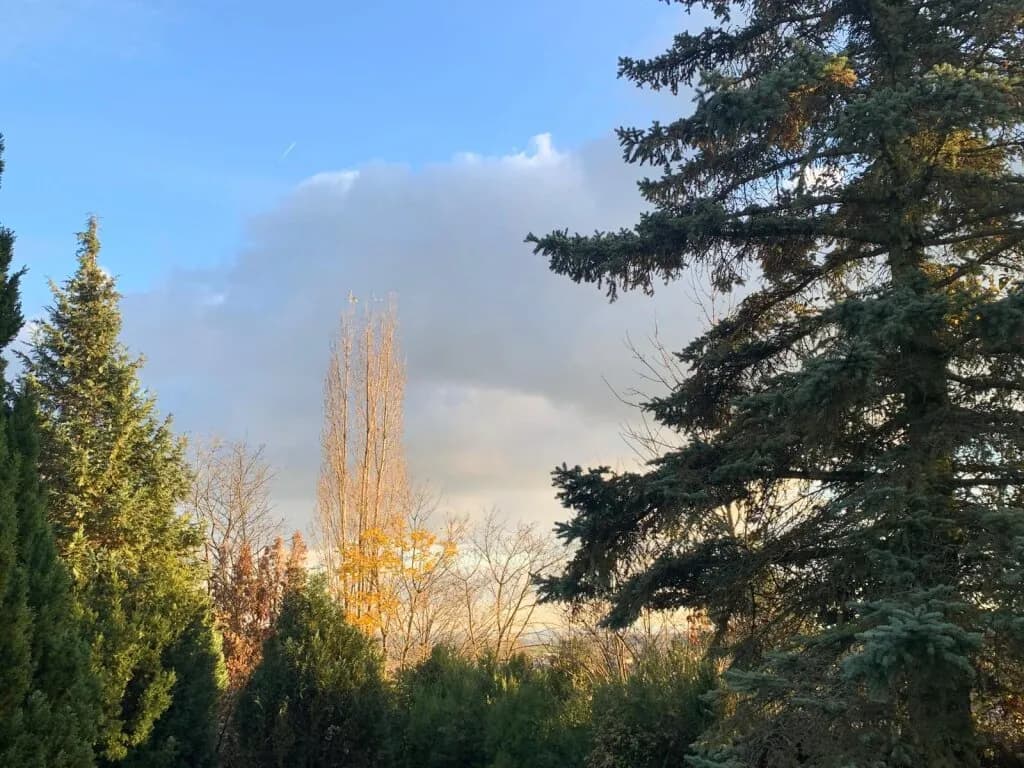 Haus kaufen in Korneuburg – 1 146 m², € 975.000