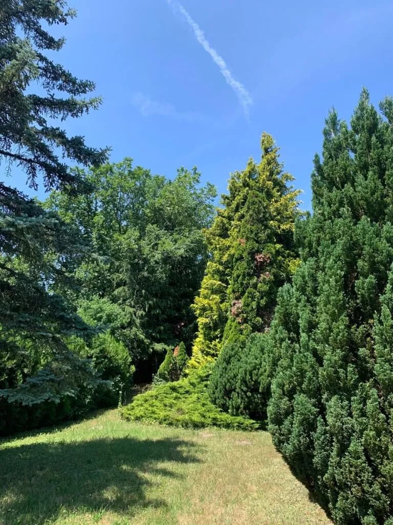 Haus kaufen in Korneuburg – 1 146 m², € 975.000 – Bild 14 von 15