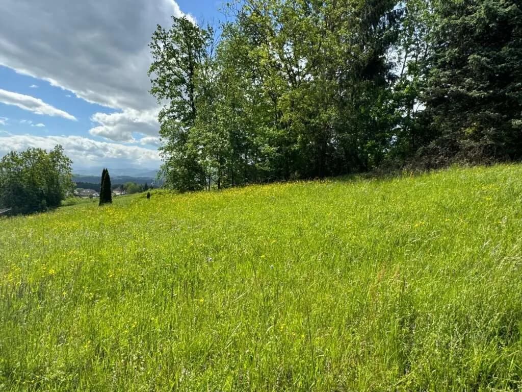 Grundstück kaufen in Melk – 900 m², € 79.000 – Bild 3 von 5