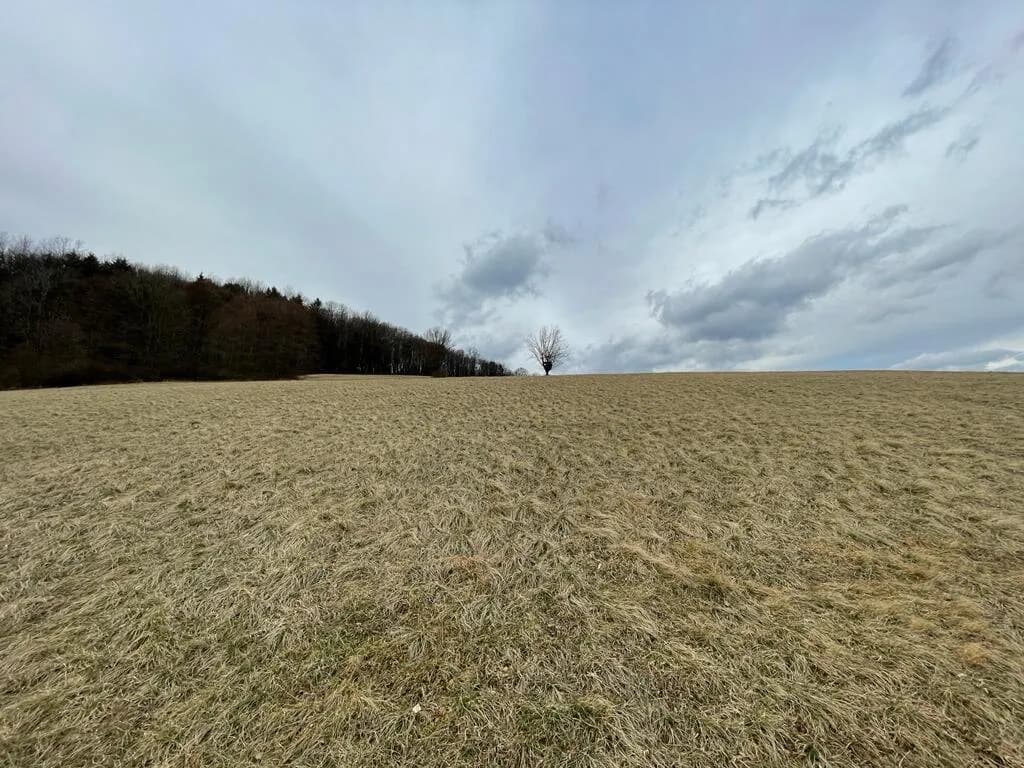 Grundstück kaufen in Sankt Pölten Land – 19 497 m², € 89.000 – Bild 2 von 4