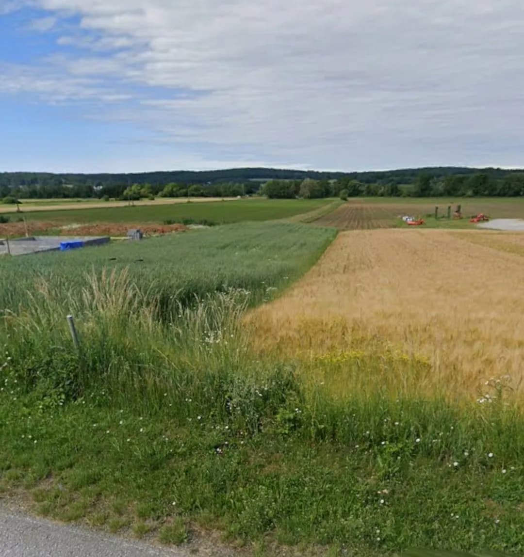 Grundstück kaufen in Oberwart – 1 300 m², € 41.900