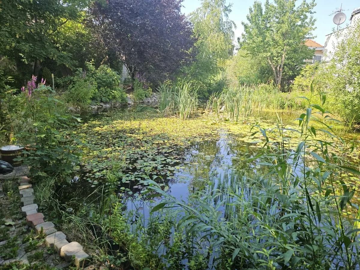 7-Zimmer-Immobilie kaufen in Baden – 500 m², € 1.000.000 – Bild 3 von 10