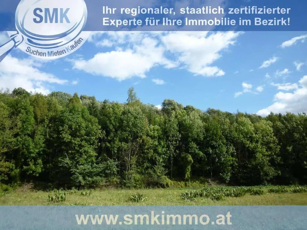 Haus kaufen in Mistelbach – 10 m², € 44.000 – Bild 2 von 12