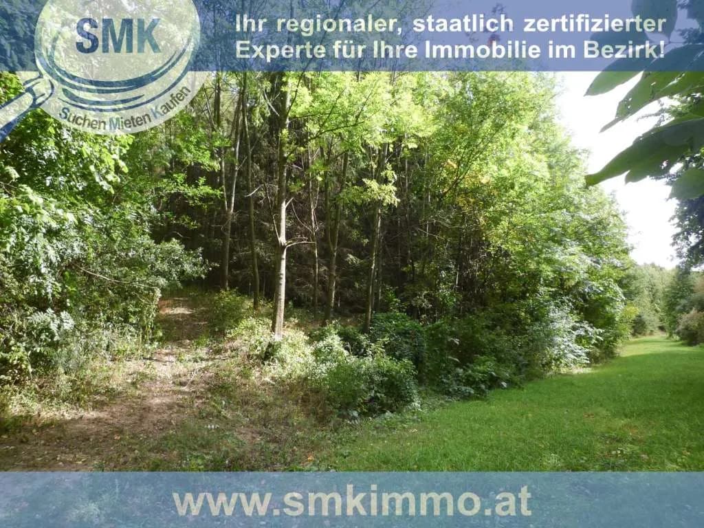 Haus kaufen in Mistelbach – 10 m², € 44.000 – Bild 3 von 12