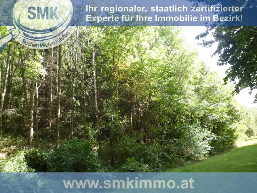 Haus kaufen in Mistelbach – 10 m², € 44.000 – Bild 5 von 12