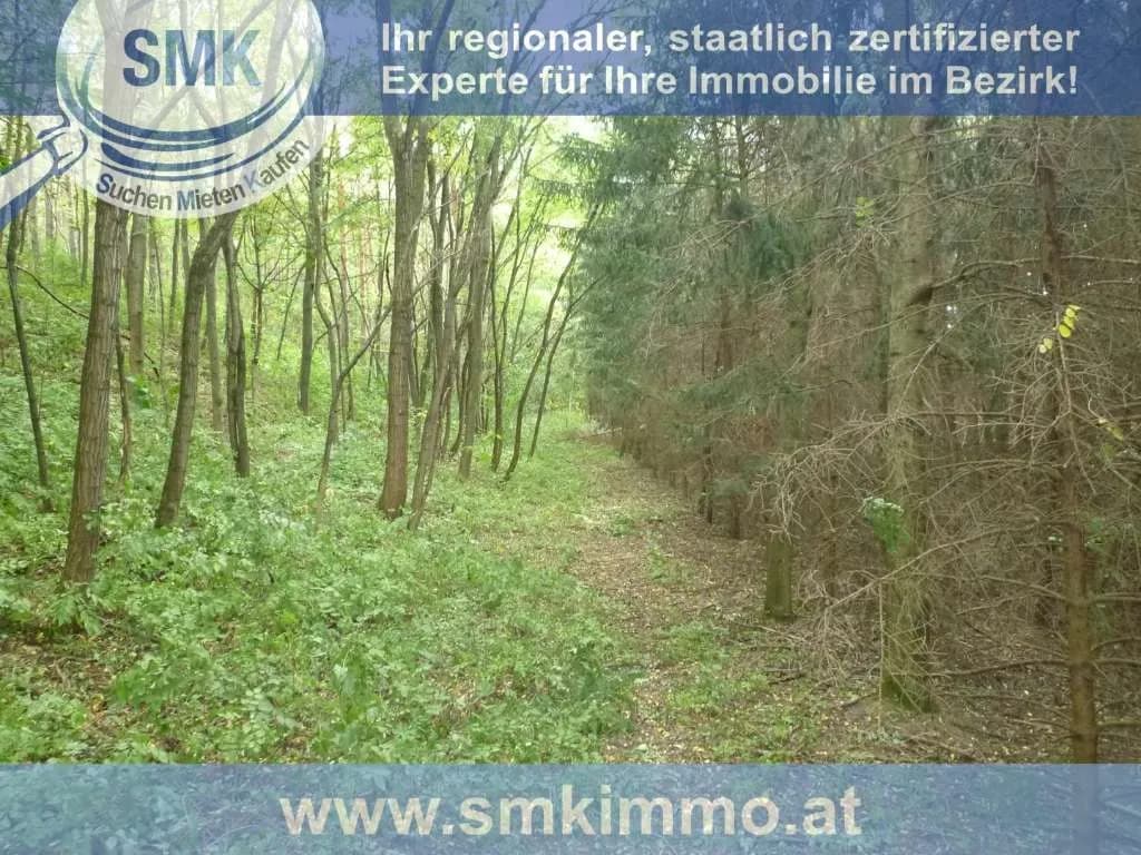 Haus kaufen in Mistelbach – 10 m², € 44.000 – Bild 6 von 12