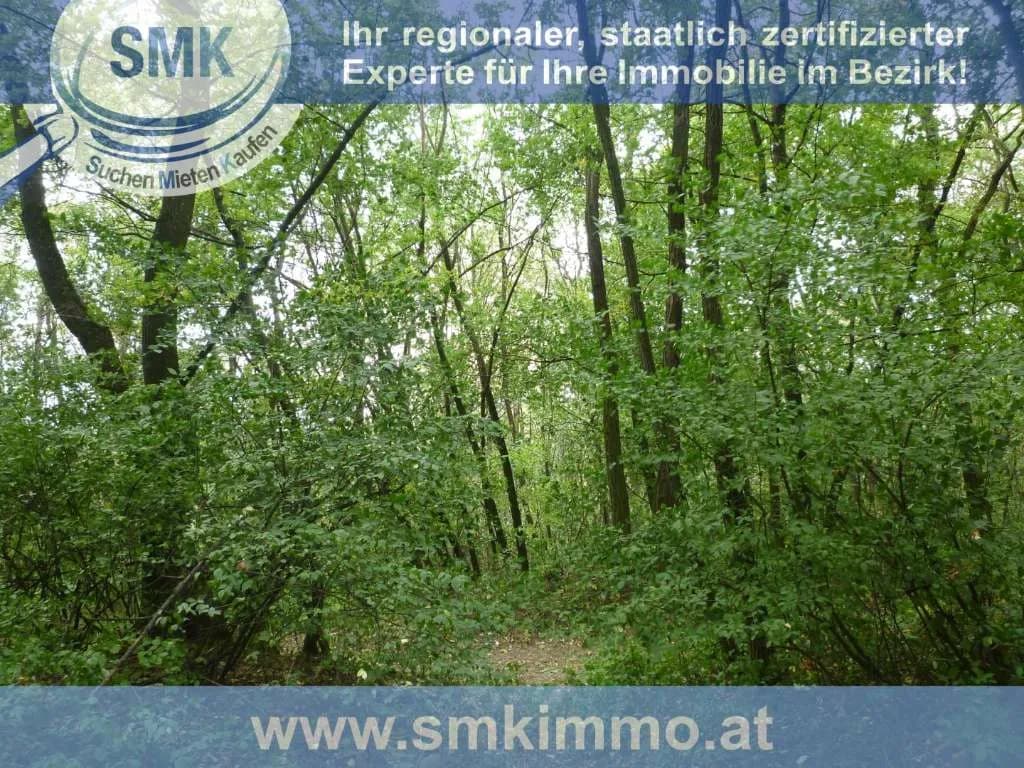 Haus kaufen in Mistelbach – 10 m², € 44.000 – Bild 7 von 12