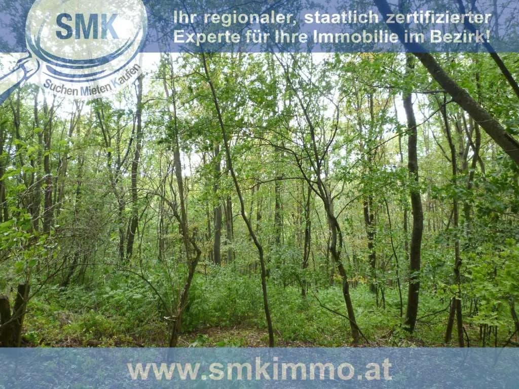 Haus kaufen in Mistelbach – 10 m², € 44.000 – Bild 8 von 12
