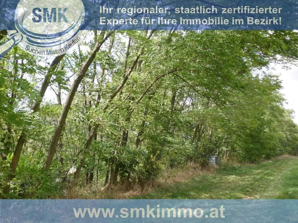 Haus kaufen in Mistelbach – 10 m², € 44.000 – Bild 9 von 12