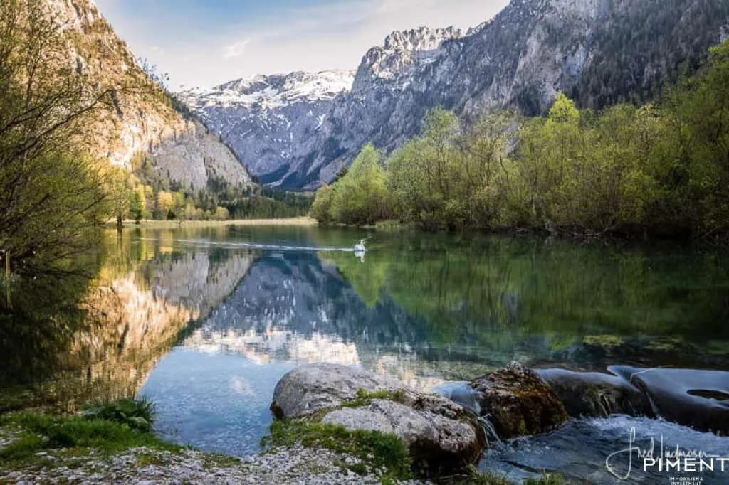 Immobilie kaufen in Bruck-Mürzzuschlag – 630 m², € 2.690.000 – Bild 16 von 16
