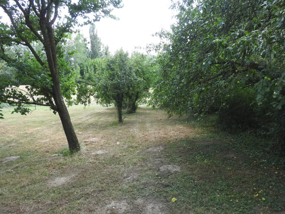 3-Zimmer-Immobilie kaufen in Bruck an der Leitha – 90 m², € 180.000 – Bild 22 von 24