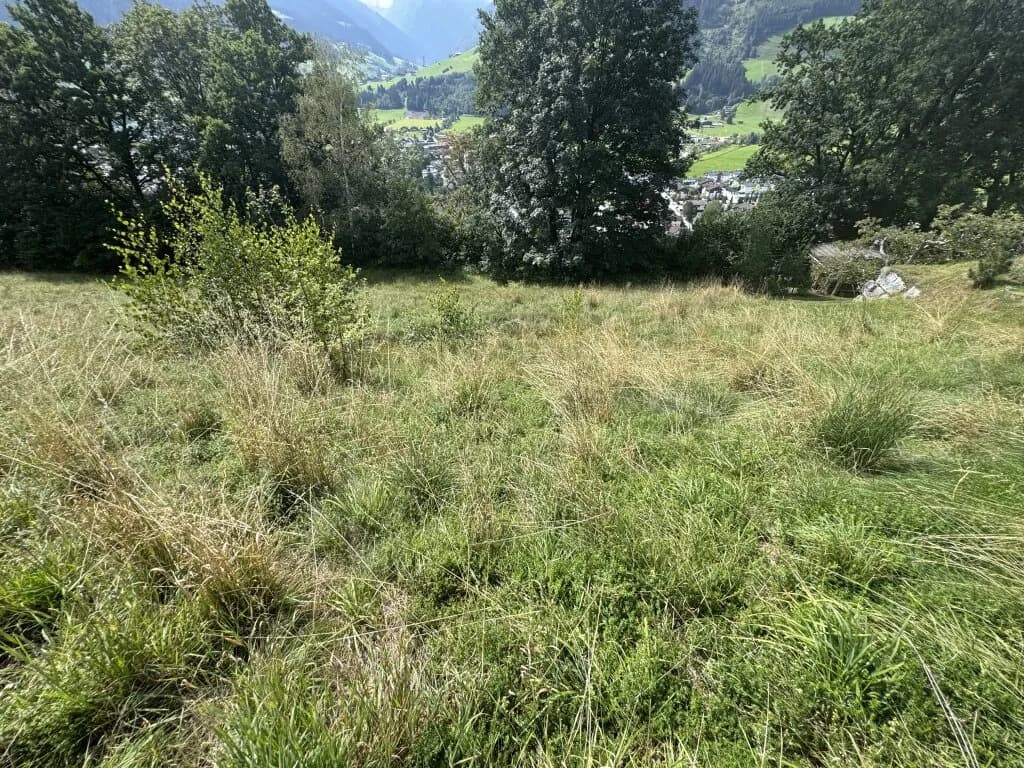 Grundstück kaufen in Zell am See – 1 002 m², € 680.000 – Bild 6 von 13