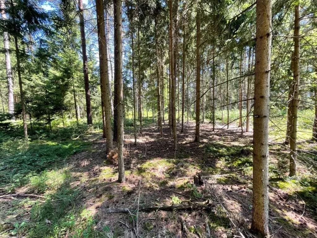 Grundstück kaufen in Völkermarkt – 211 974 m², € 1.500.000 – Bild 12 von 12
