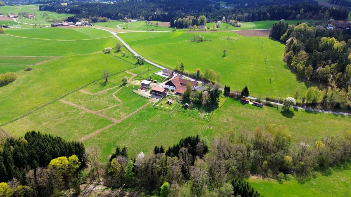 Immobilie kaufen in Schärding – 175 m², € 1.320.000 – Bild 8 von 18
