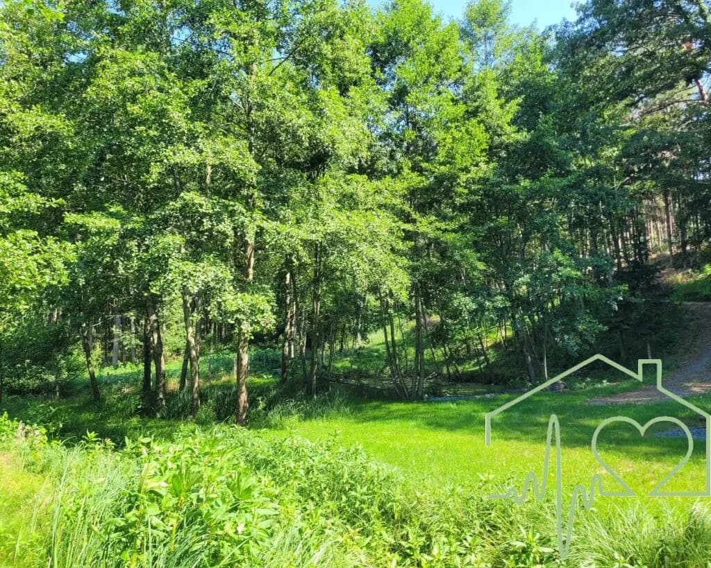 Immobilie kaufen in Oberwart – 30 m² – Bild 9 von 12
