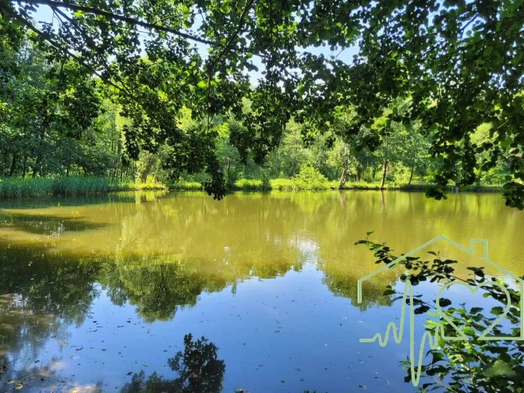 Grundstück kaufen in Oberwart – 11 000 m² – Bild 7 von 12