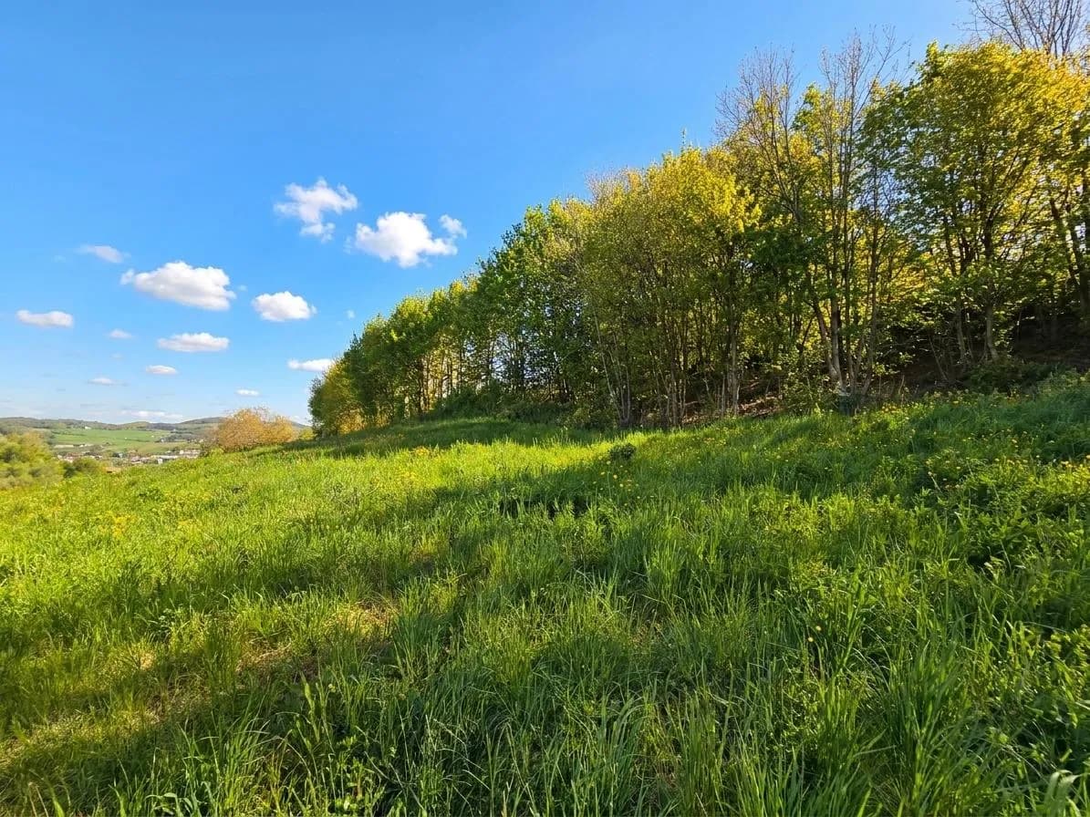 Grundstück kaufen in Perg – 771 m², € 149.000 – Bild 2 von 8