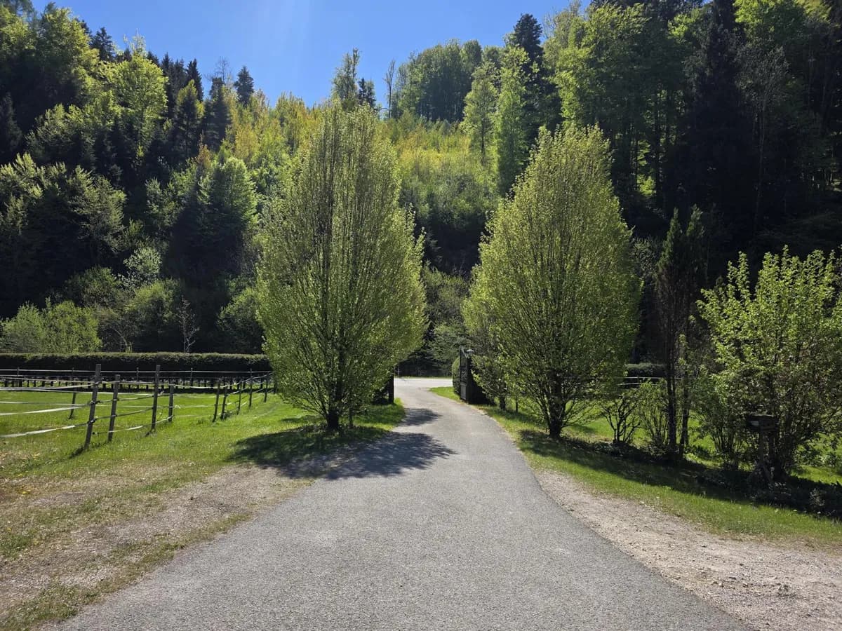 Gewerbeimmobilie kaufen in Gmunden – 170 m², € 980.000 – Bild 18 von 29