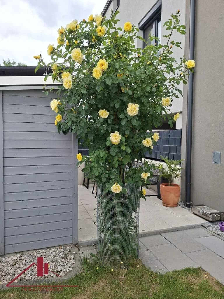 Wohnung kaufen in Baden – 107 m², € 443.000 – Bild 2 von 14