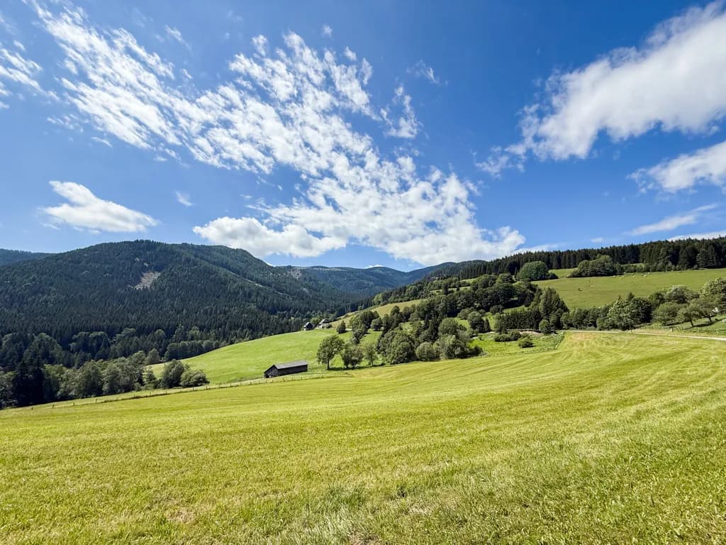 Immobilie kaufen in Murau – 260 m², € 490.000 – Bild 3 von 17