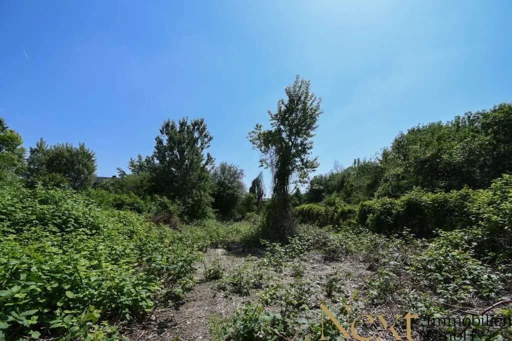 Immobilie mieten in Linz – 11 167 m², € 16.751 – Bild 5 von 5