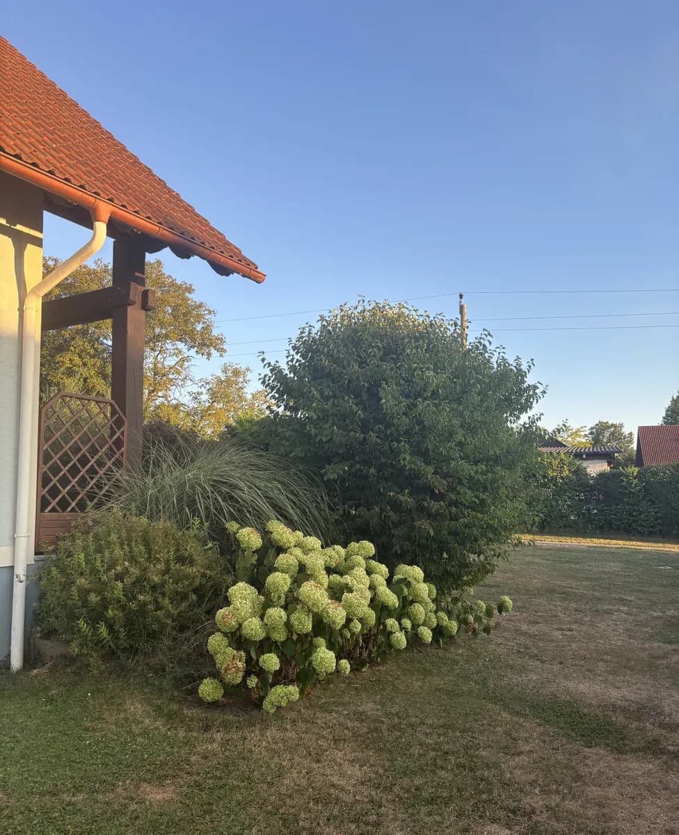 3-Zimmer-Haus mieten in Südoststeiermark – 118 m², € 1.200 – Bild 5 von 32