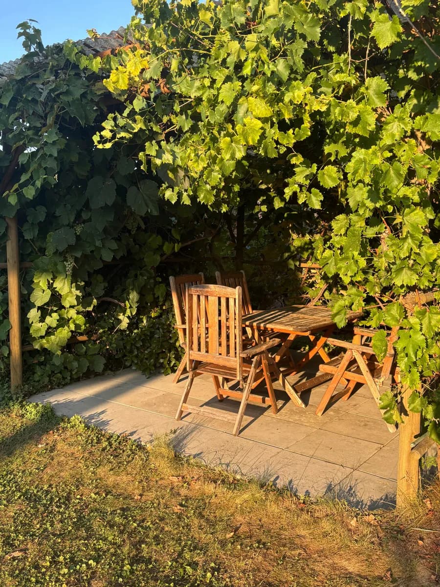 3-Zimmer-Haus mieten in Südoststeiermark – 118 m², € 1.200 – Bild 9 von 32