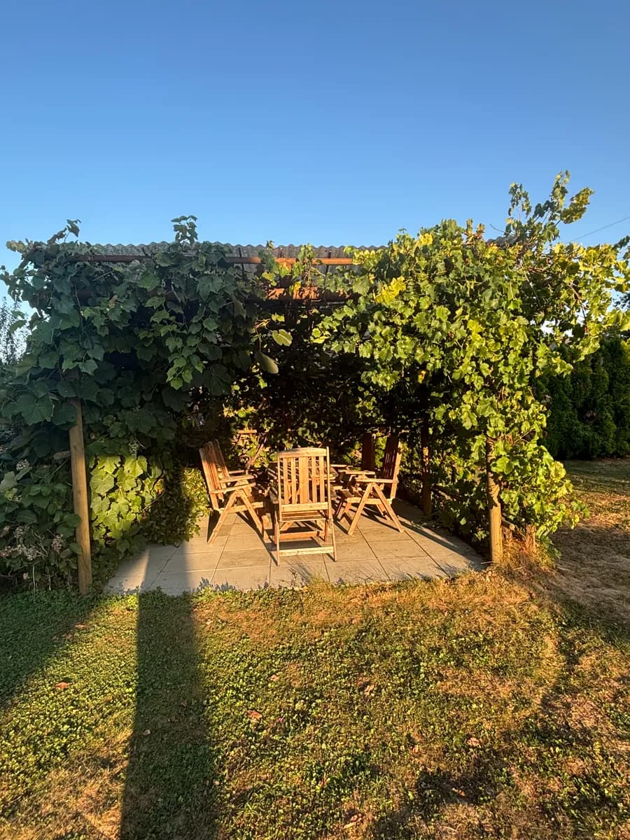 3-Zimmer-Haus mieten in Südoststeiermark – 118 m², € 1.200 – Bild 10 von 32