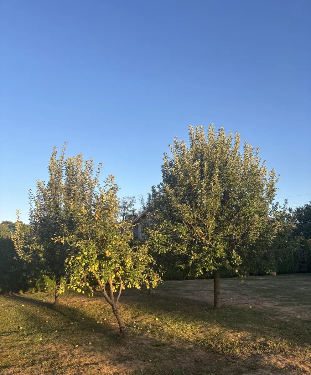 3-Zimmer-Haus mieten in Südoststeiermark – 118 m², € 1.200 – Bild 11 von 32