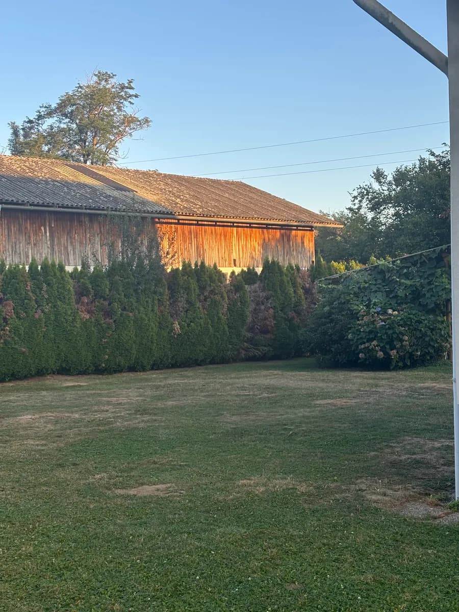 3-Zimmer-Haus mieten in Südoststeiermark – 118 m², € 1.200 – Bild 12 von 32