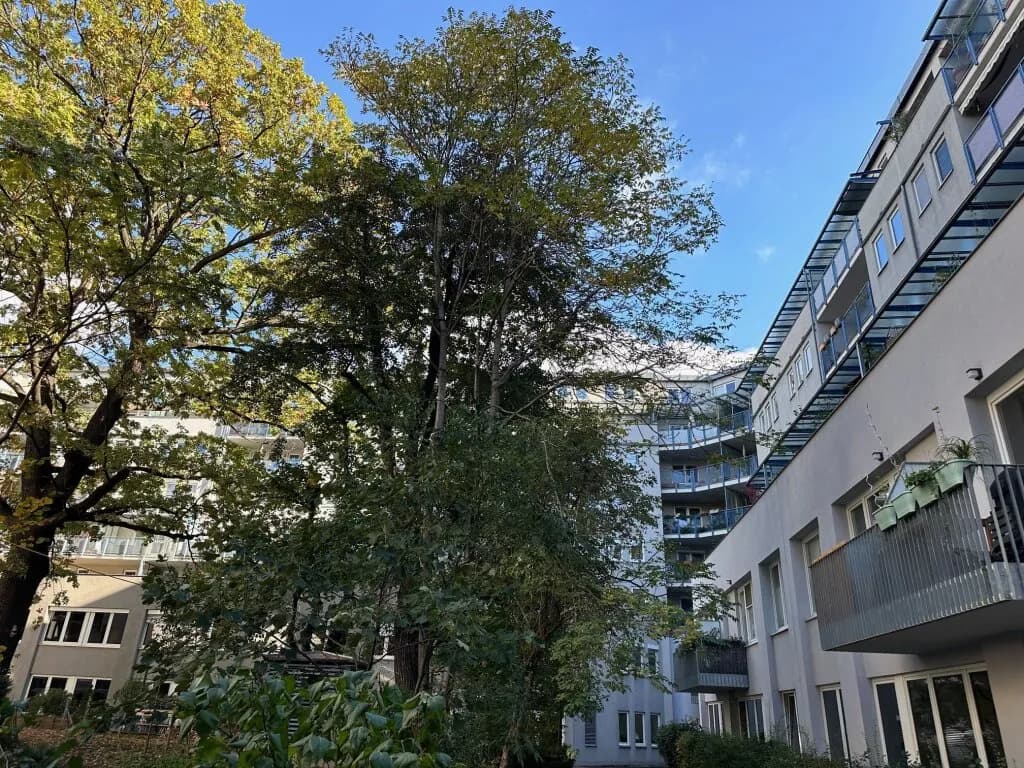 1-Zimmer-Wohnung mieten in Wien – 45,99 m², € 1.079 – Bild 2 von 9