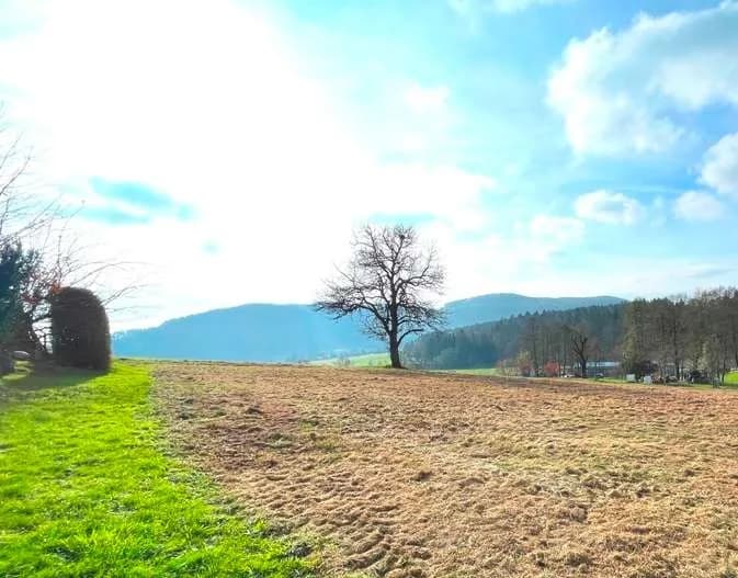 Grundstück kaufen in Graz-Umgebung – 1 196 m², € 235.000 – Bild 4 von 5