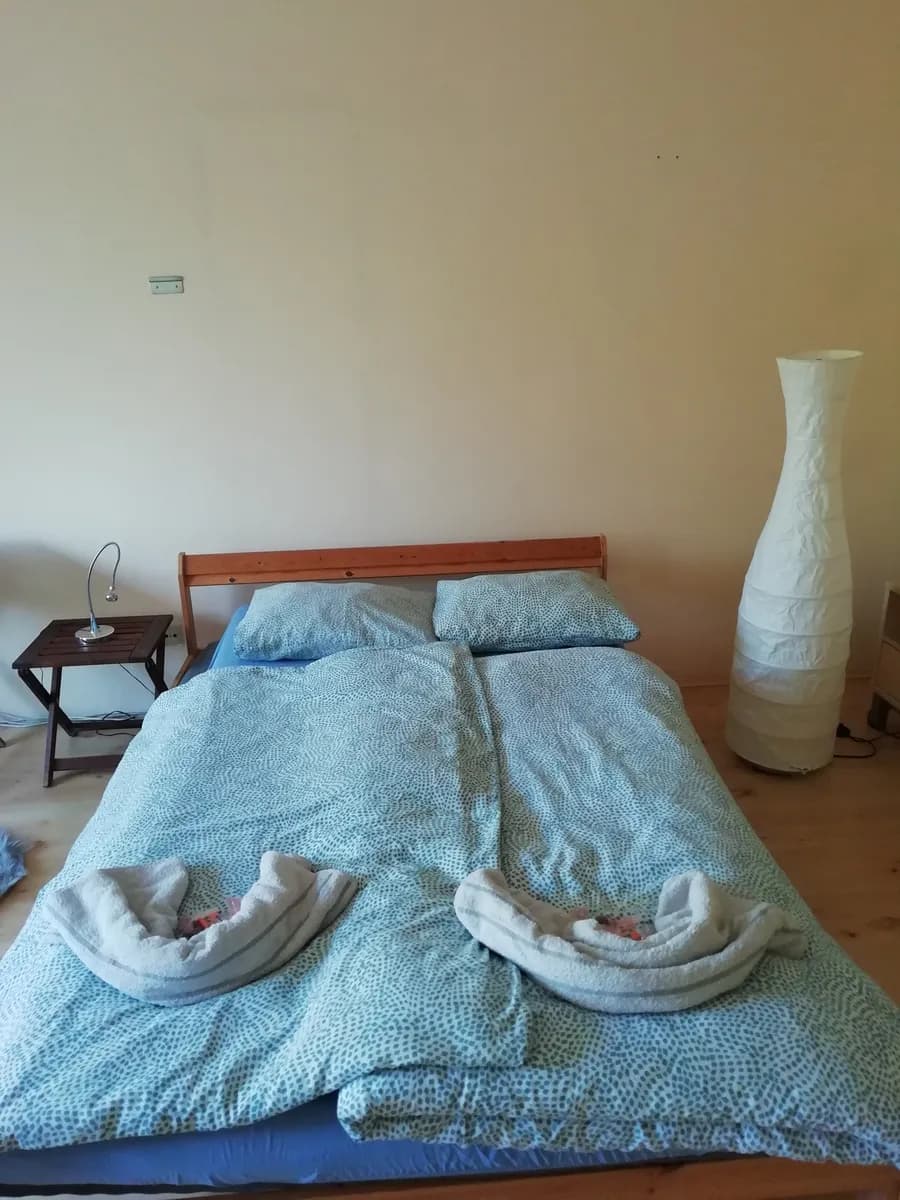 1-Zimmer-Wohnung mieten in Wien – 25 m², € 790 – Bild 2 von 8