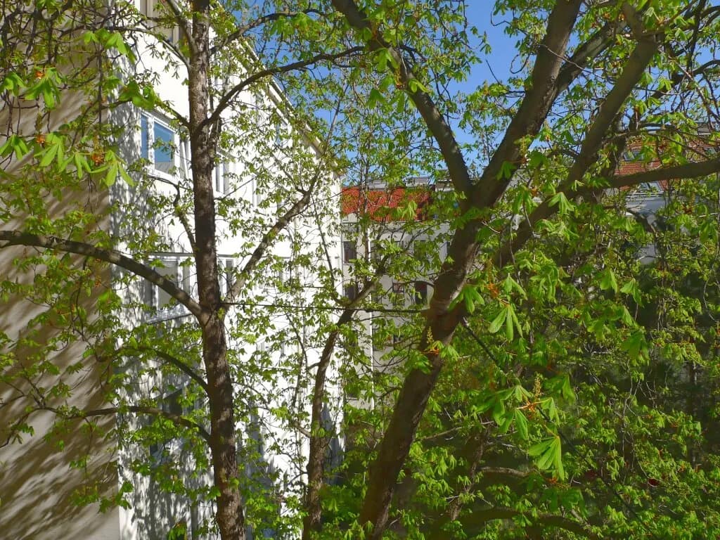1-Zimmer-Wohnung kaufen in Wien – 30 m², € 119.000 – Bild 4 von 5