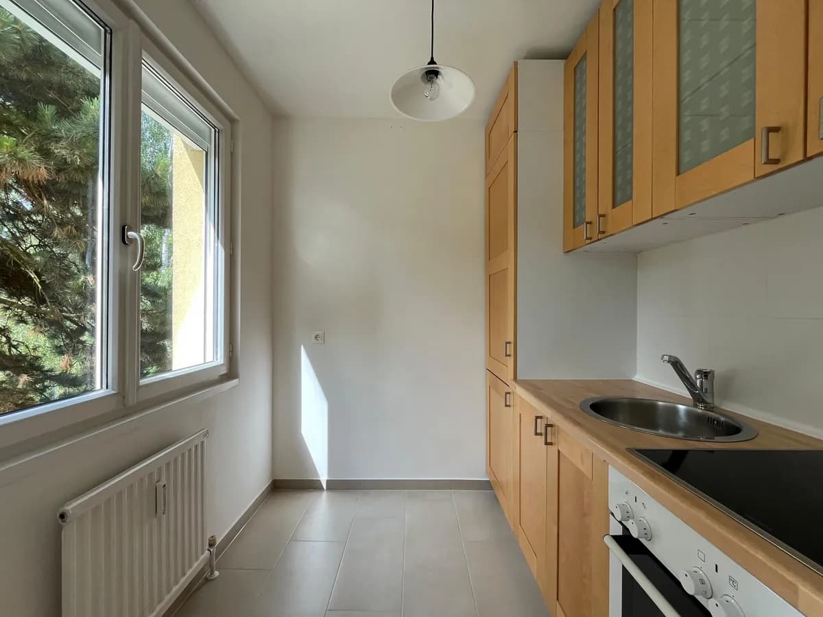 Wohnung mieten in Wien – 31 m², € 749