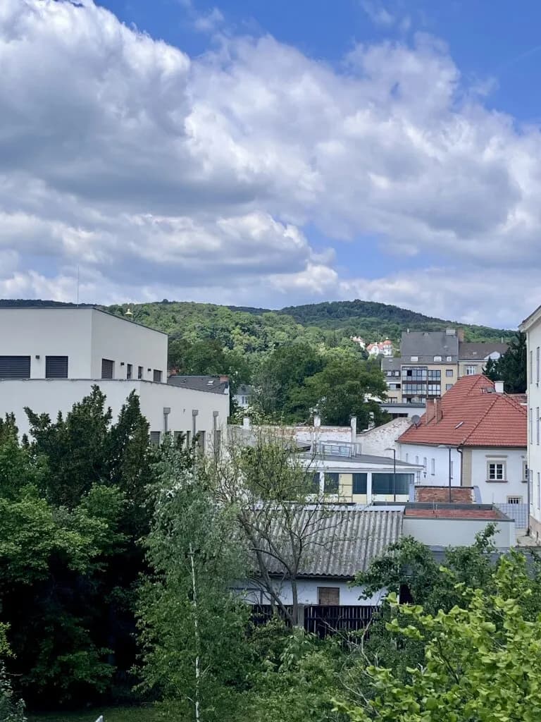 3-Zimmer-Wohnung kaufen in Baden – 190,47 m², € 990.000 – Bild 24 von 34