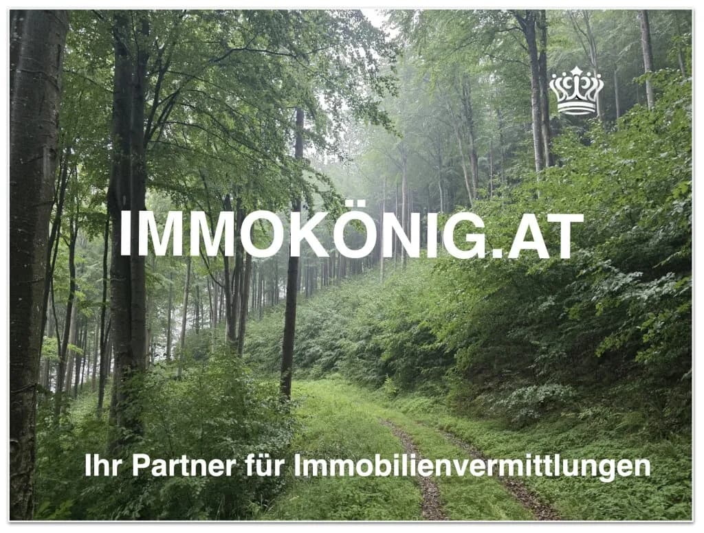Immobilie kaufen in Melk – € 397.000 – Bild 9 von 10