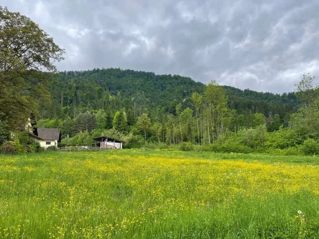 Grundstück kaufen in Klagenfurt Land – 980 m², € 98.000 – Bild 2 von 5