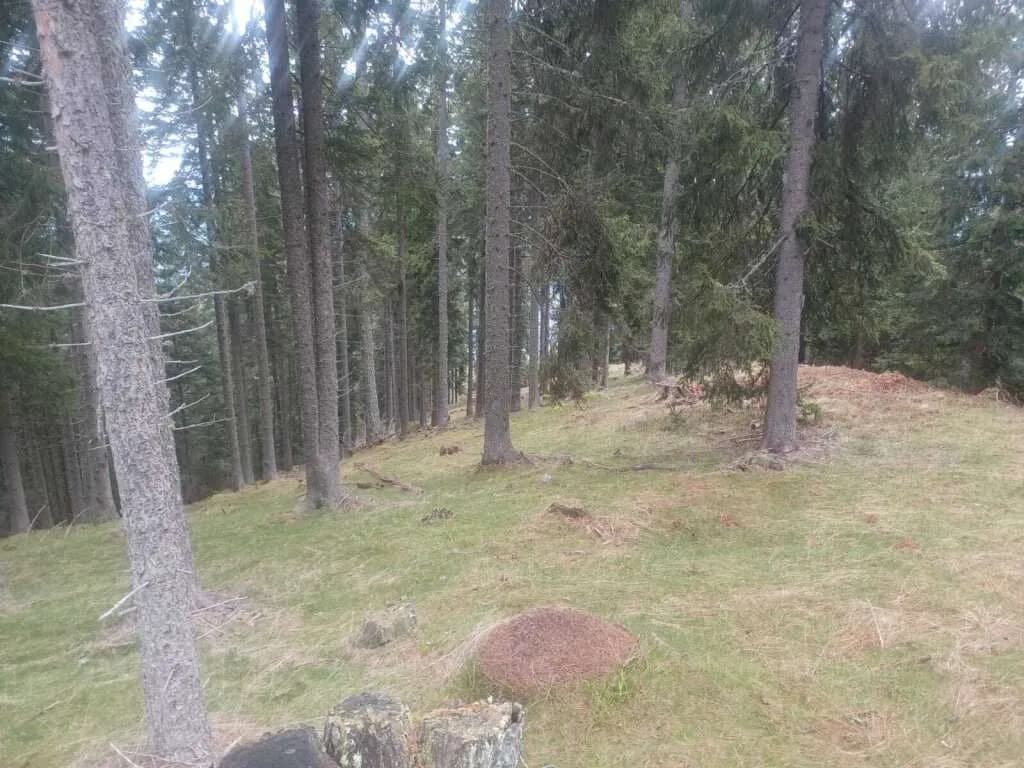 Grundstück kaufen in Villach Land – 41 050 m²