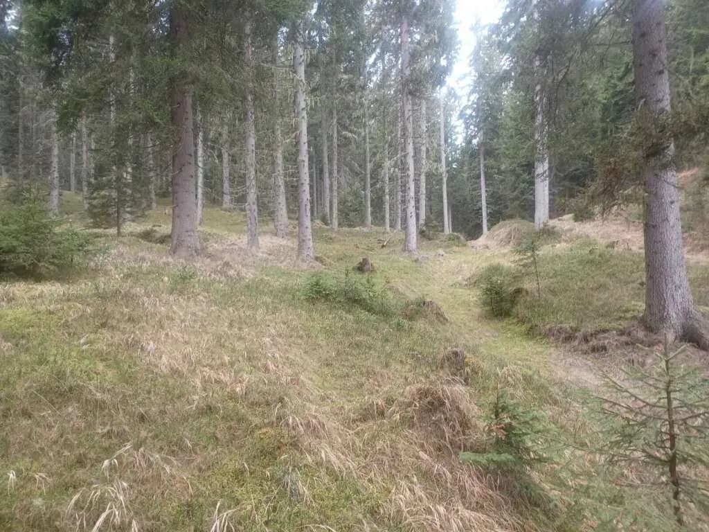 Grundstück kaufen in Villach Land – 41 050 m² – Bild 2 von 6