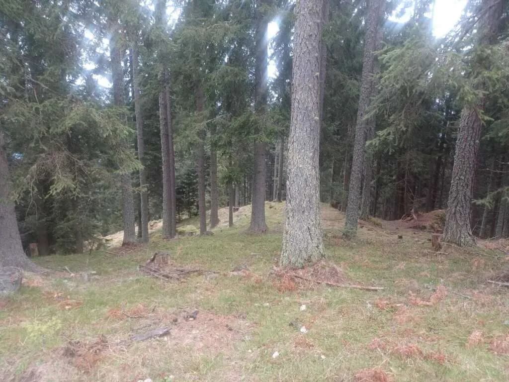 Grundstück kaufen in Villach Land – 41 050 m² – Bild 3 von 6