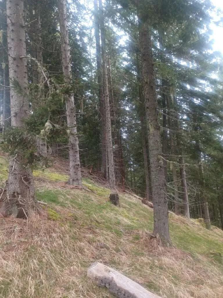 Grundstück kaufen in Villach Land – 41 050 m² – Bild 4 von 6