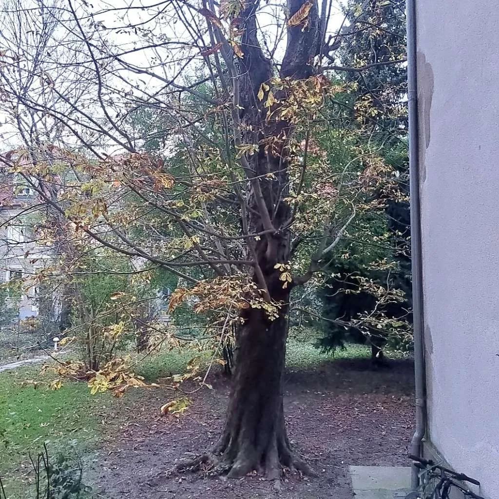 Wohnung mieten in Graz – 208 m², € 2.896 – Bild 15 von 15