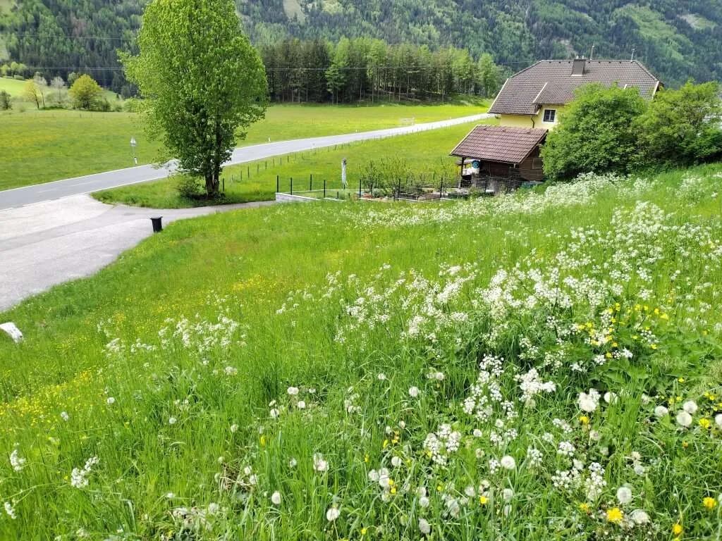 Grundstück kaufen in Spittal an der Drau – 681 m², € 43.000 – Bild 2 von 6