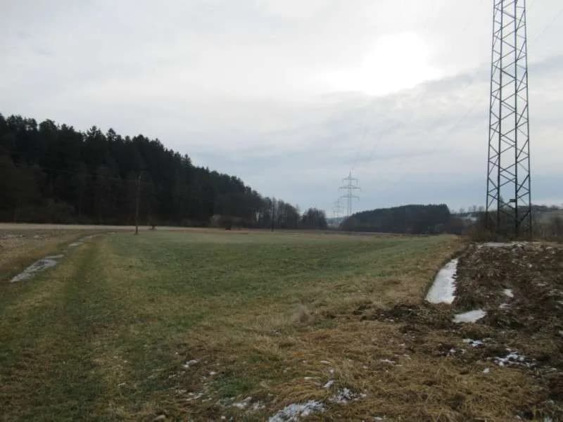 Grundstück kaufen in Hartberg-Fürstenfeld – 22 798 m², € 92.000 – Bild 3 von 6