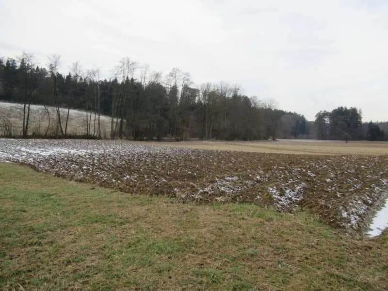 Grundstück kaufen in Hartberg-Fürstenfeld – 22 798 m², € 92.000 – Bild 4 von 6