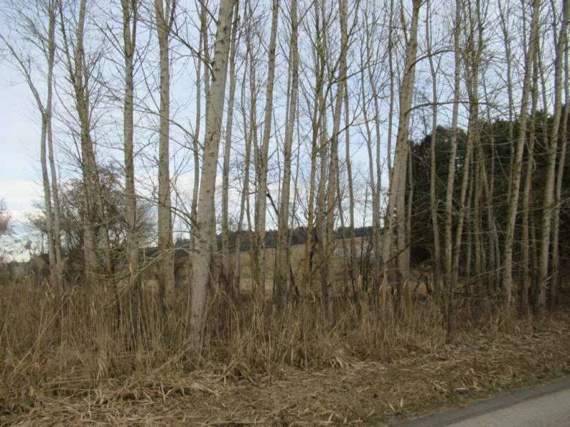 Grundstück kaufen in Hartberg-Fürstenfeld – 22 798 m², € 92.000 – Bild 6 von 6